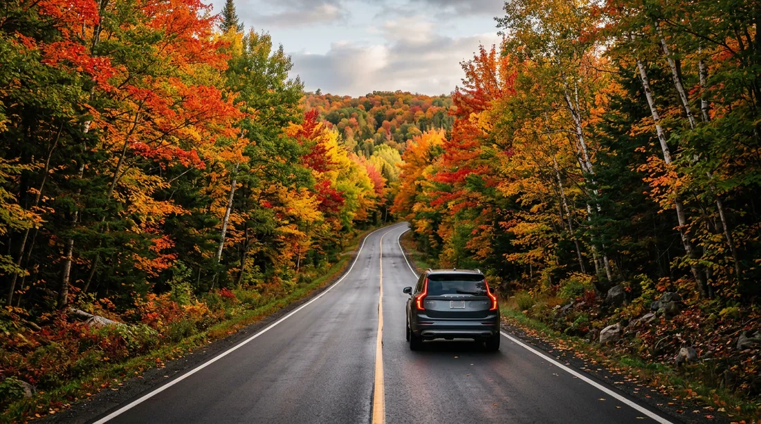 Road trip en forêt boréale québécoise en automne SUV roulant sur une route traversant une forêt boréale aux couleurs automnales au Québec