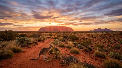 Paysage emblématique de l'Australie montrant le rocher d'Uluru au coucher du soleil avec un kangourou au premier plan.